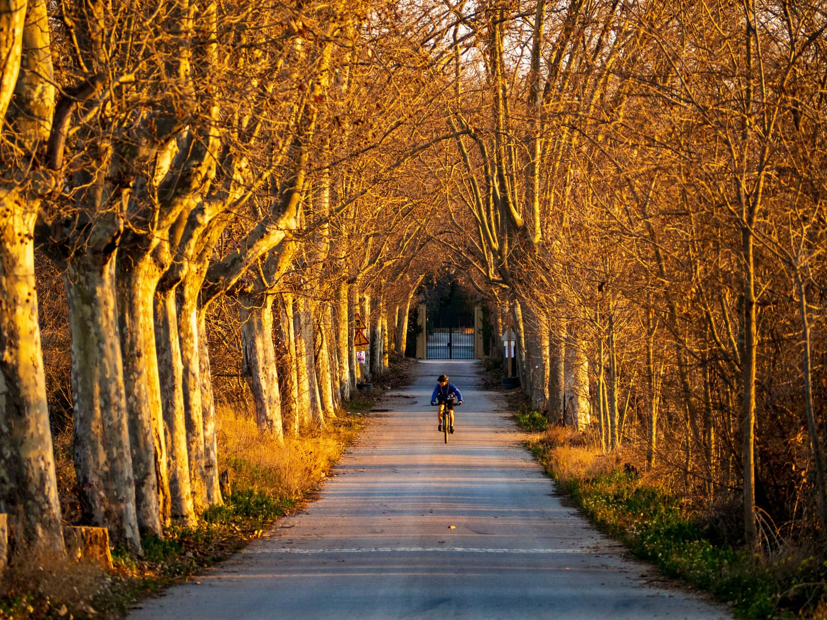 TerroirInvest sélectionne rigoureusement les meilleurs opérateurs en investissement forestier, viticole et agricole