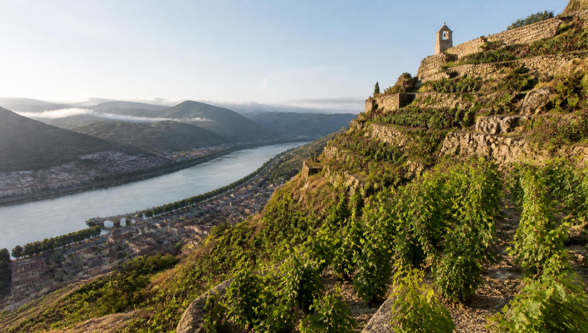 Coteaux en terrasses du vignoble de Saint-Joseph face à Tournon, rive droite du Rhône