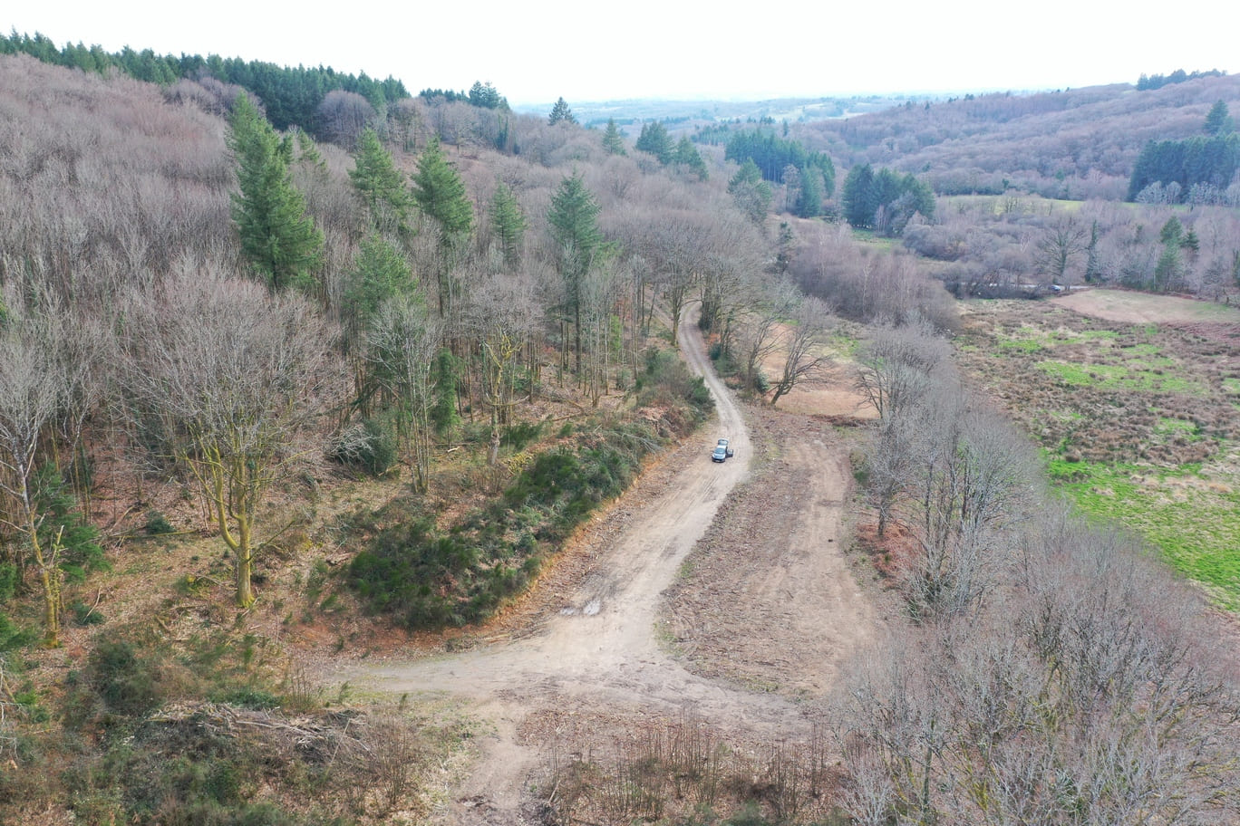 Forêt des Monts de Blond - Limousin - GFI EPIFORET