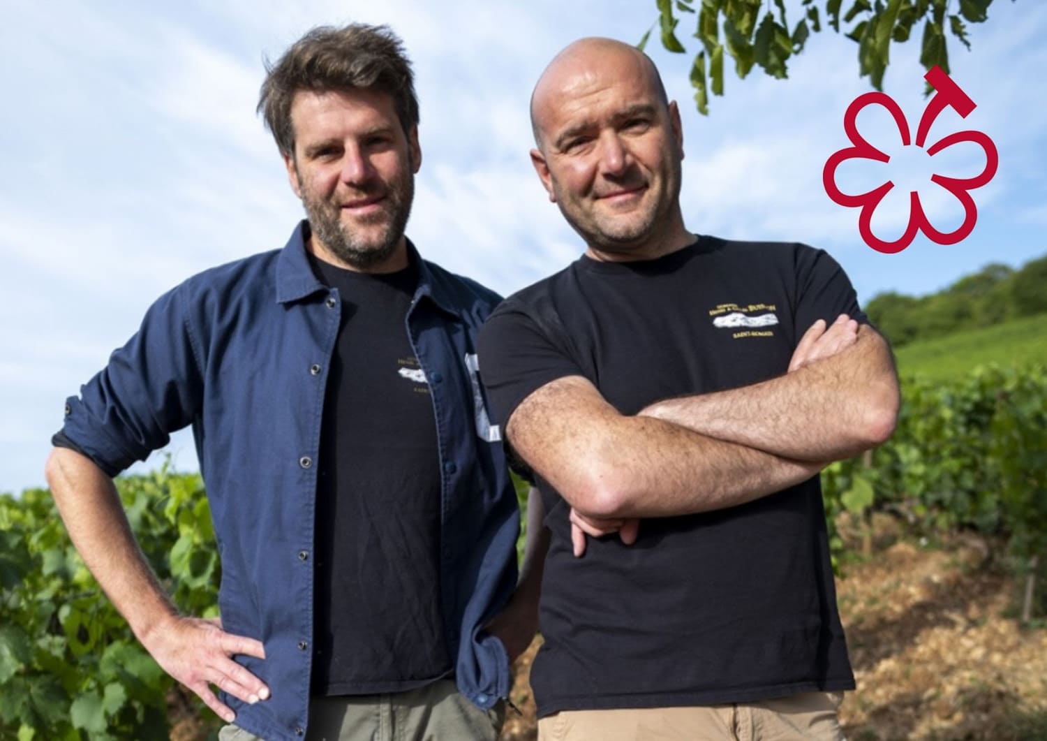 Franck et Frédérick Buisson, 8e génération du Domaine Henri & Gilles Buisson, dans leurs vignes de Bourgogne récompensées d'une Grappe au Guide Michelin