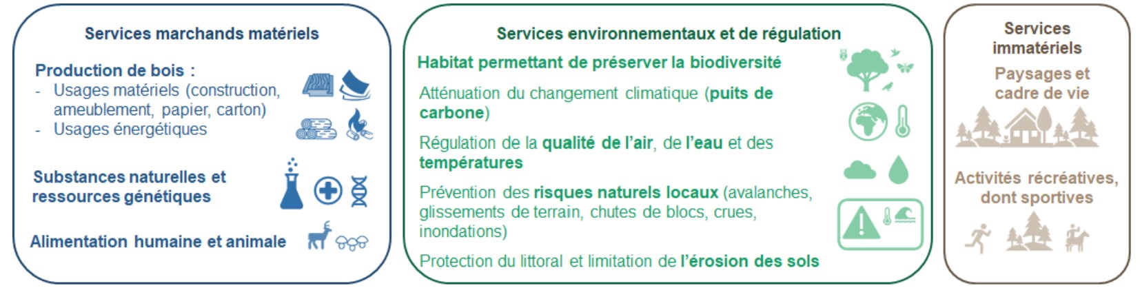 Synthèse des services marchands, environnementaux et immatériels apportés par les écosystèmes forestiers à l'économie française