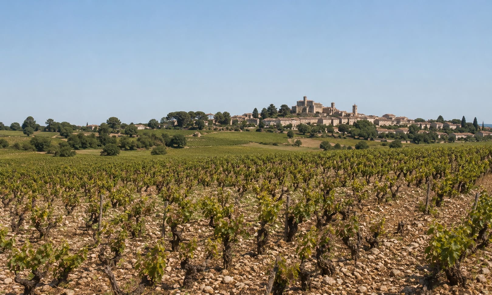 Vignoble de Châteauneuf-du-Pape et village perché sous un ciel bleu du Rhône Sud