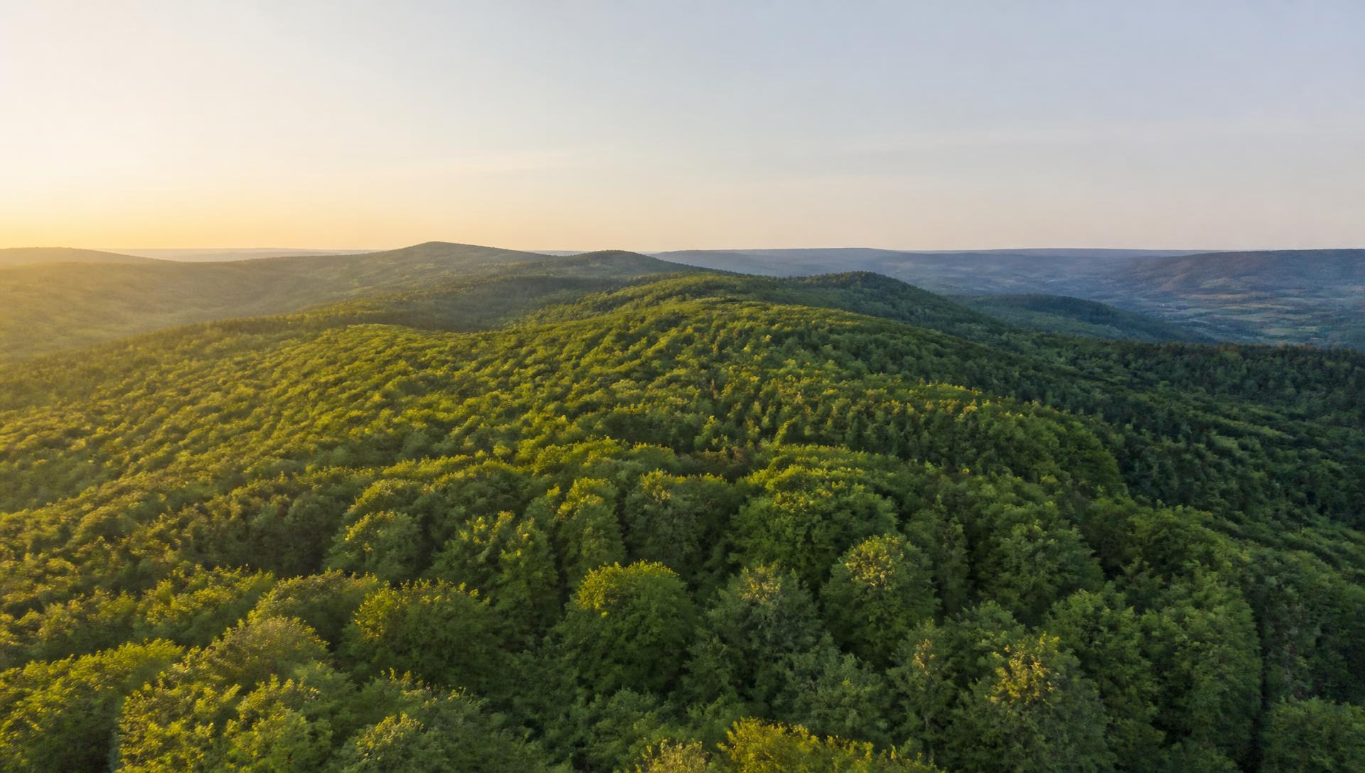 Vue aérienne éloignée d'un massif forestier français au coucher du soleil, collines boisées à perte de vue