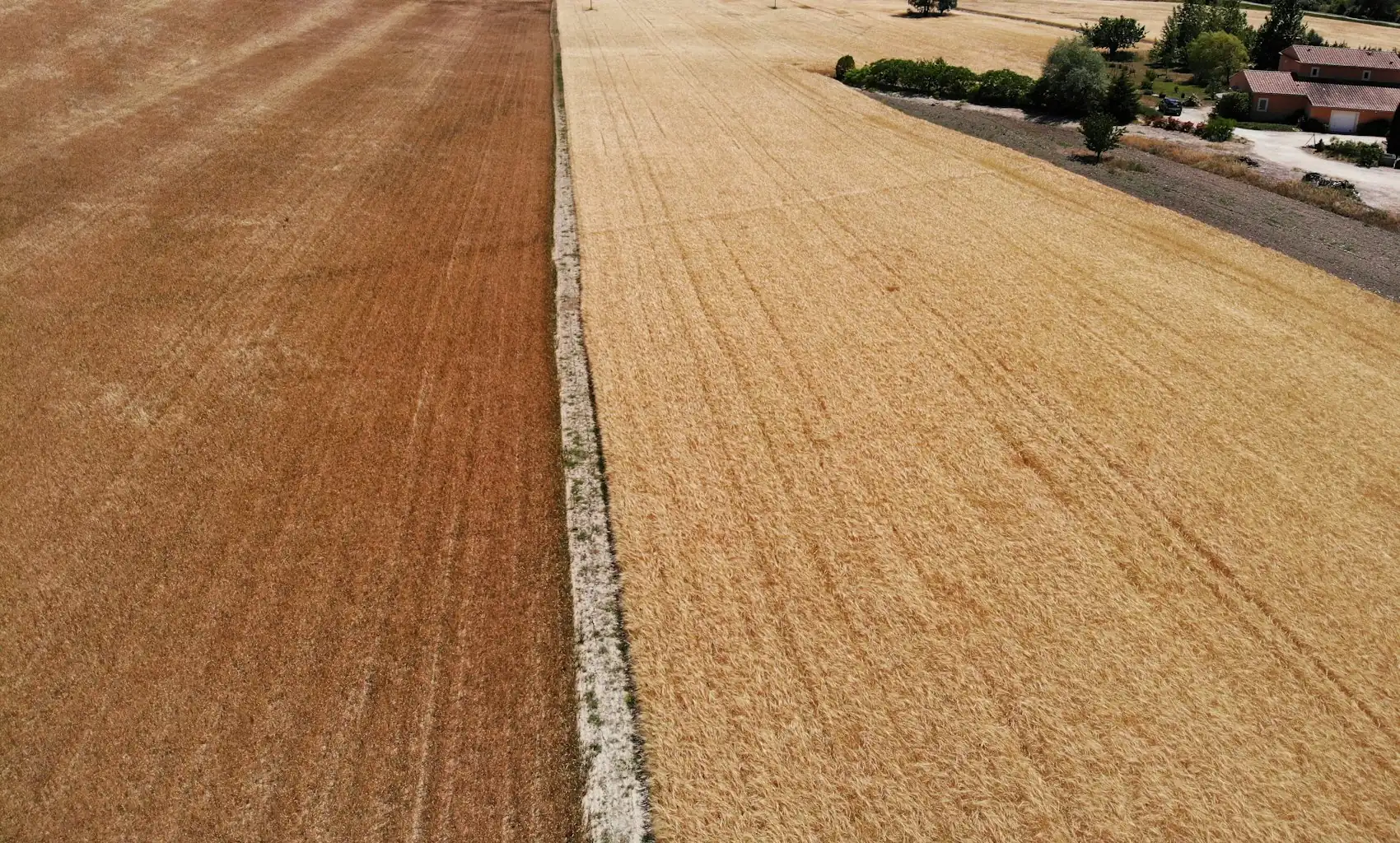 Vue aérienne de champs agricoles en France, photo d'illustration de la lettre SC Terres Invest du troisième trimestre 2026