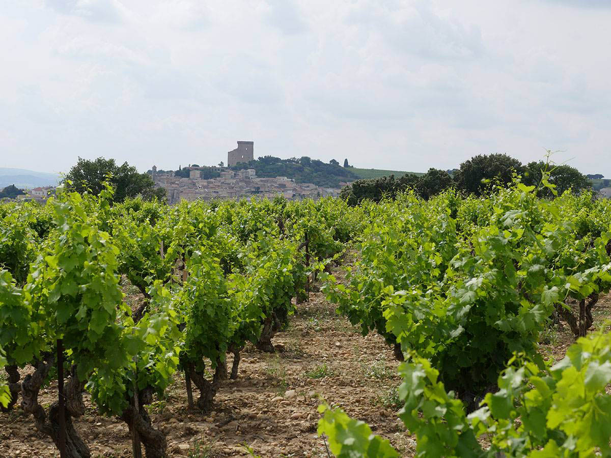 GFV Blancs de La Palud