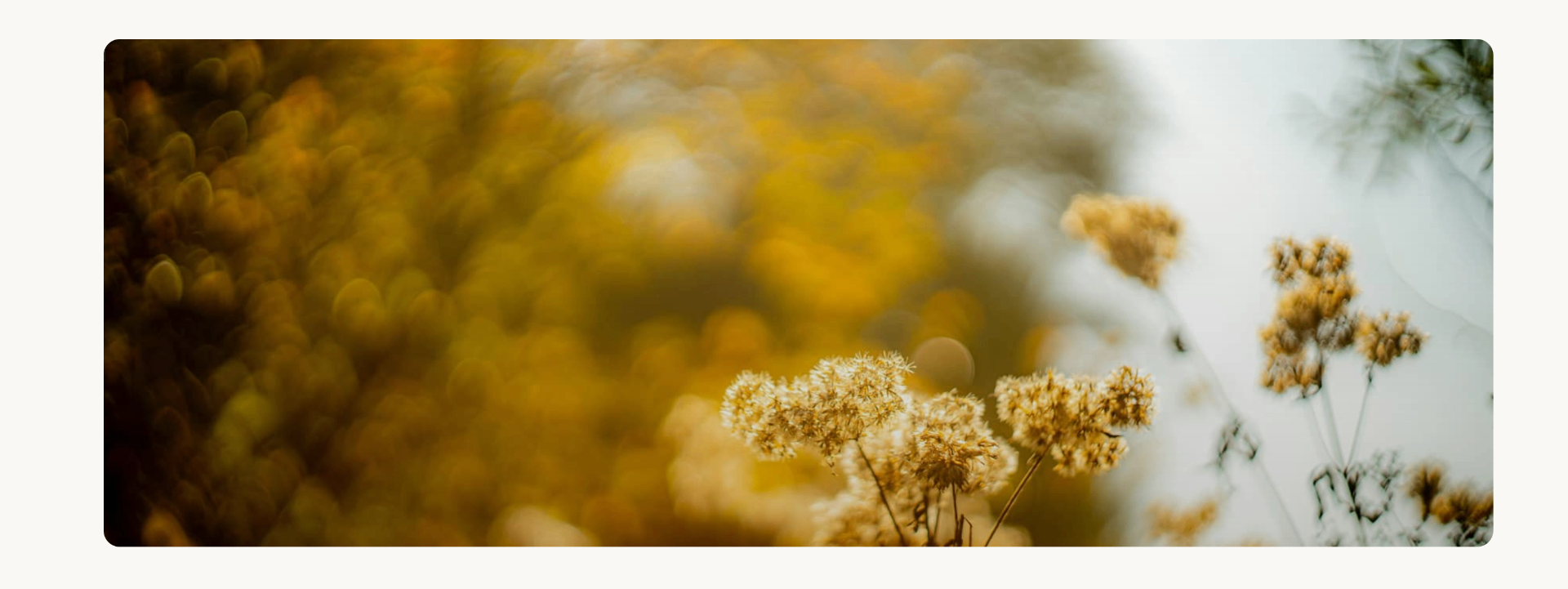 Paysage agricole français en automne financé par FEVE
