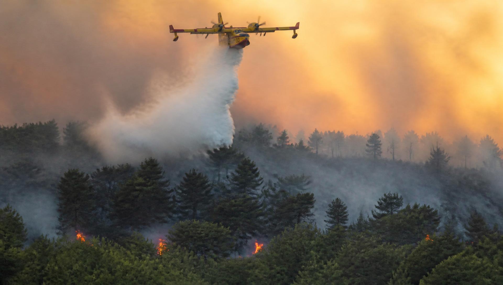 Canadair larguant de l'eau au-dessus d'un massif forestier français en feu
