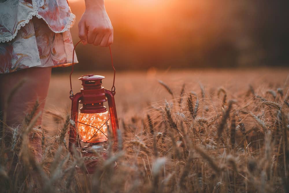 Exploitation agricole durable en France
