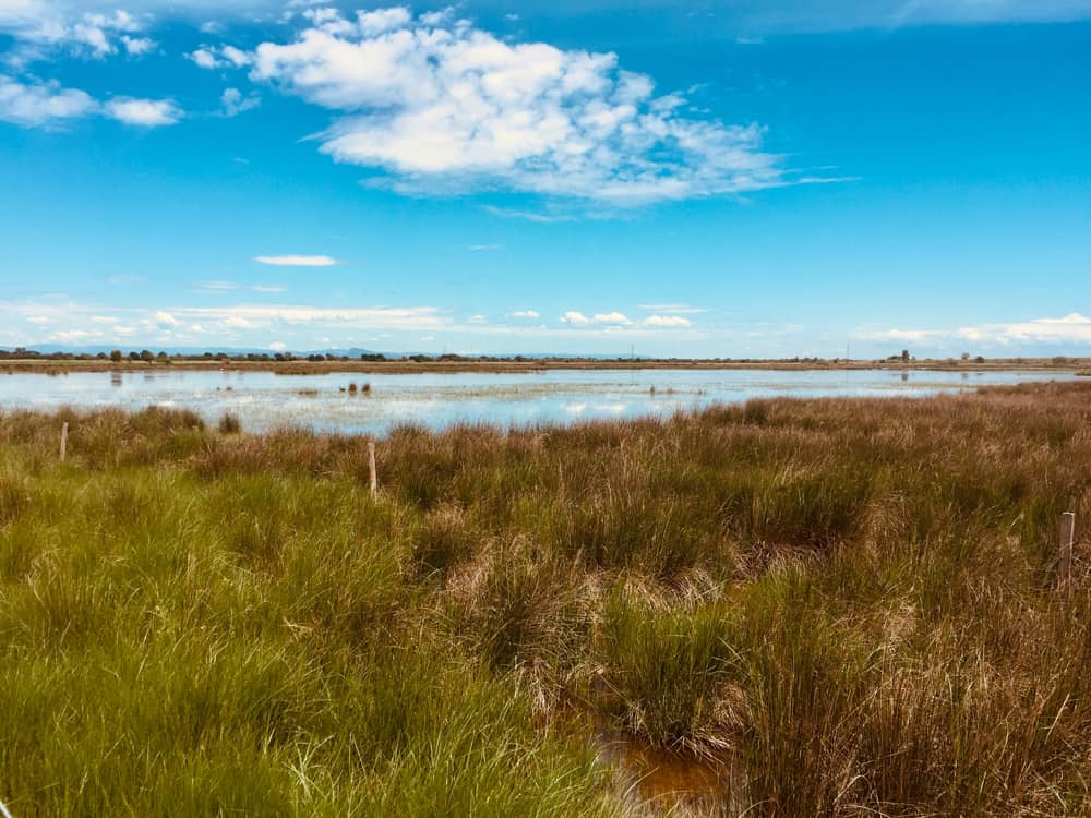 Exploitation polyculture de Camargue