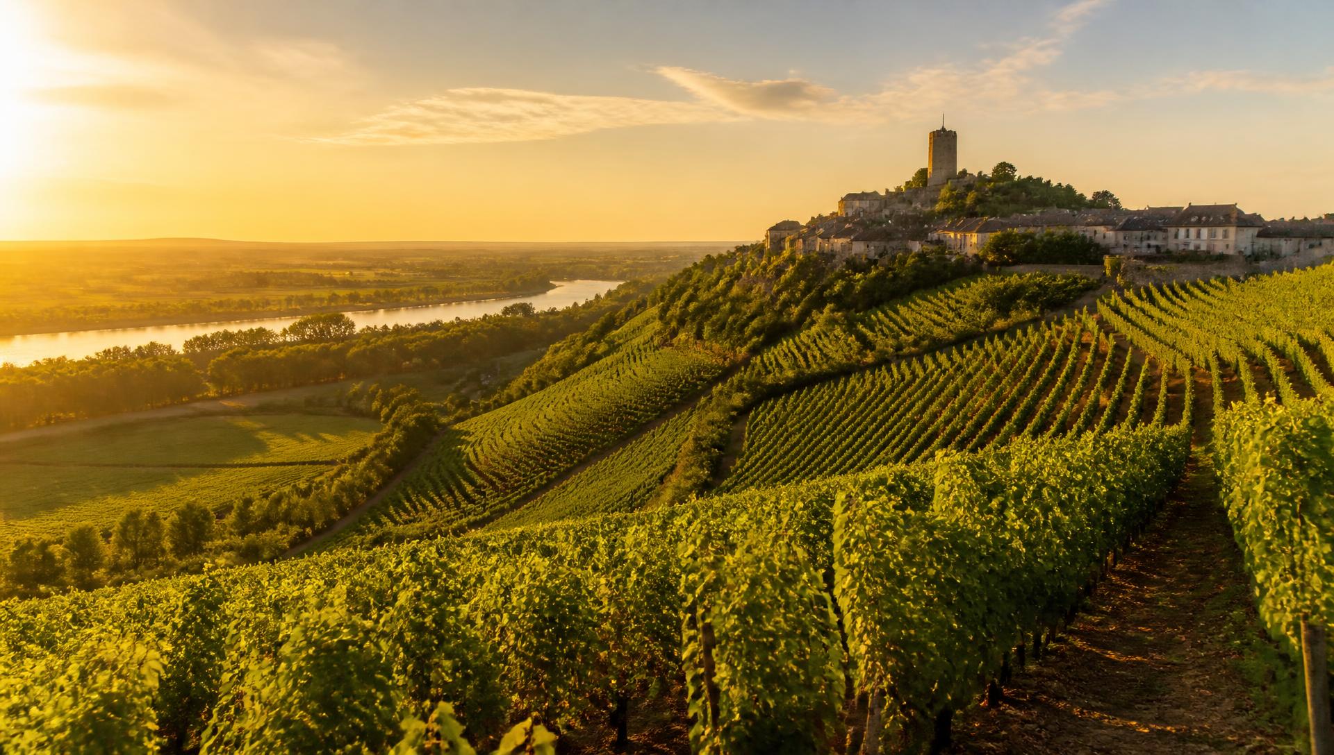 Coteaux de vignes de Sancerre dominant la Loire au coucher du soleil