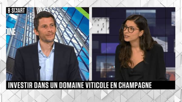 Smart Patrimoine – Investir dans un Domaine Viticole