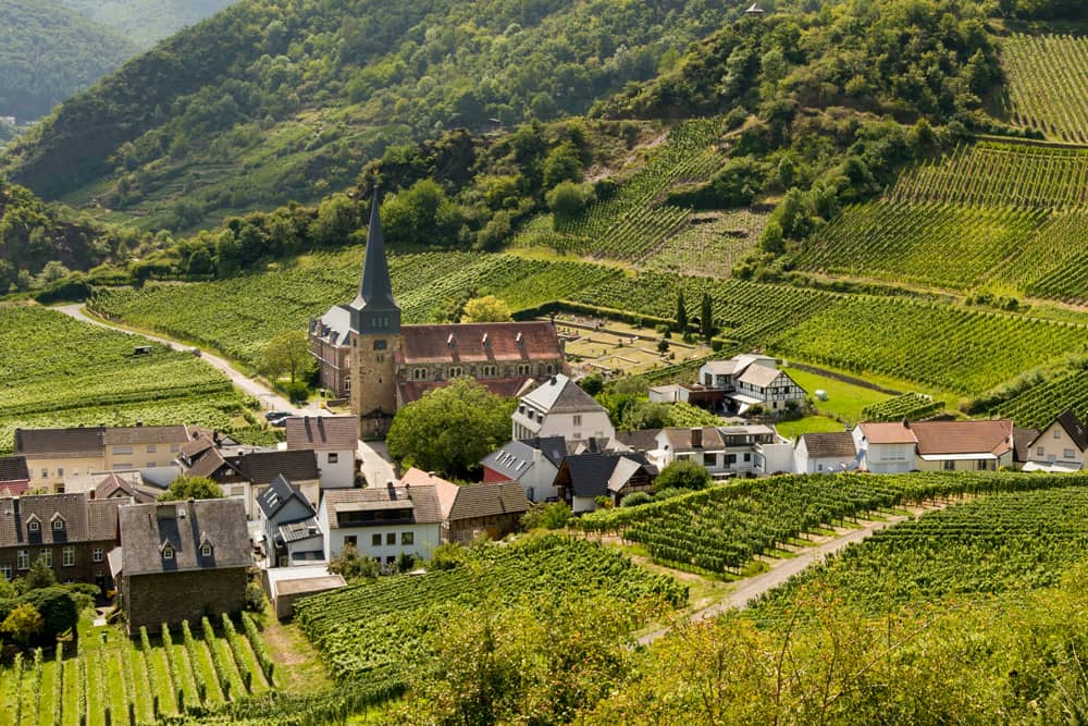 Vignobles Bacchus Conseil